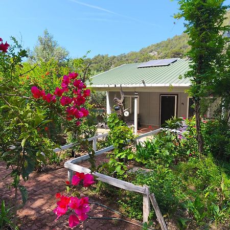 Gelidonia Fenerium Holiday Home Antalia Esterno foto
