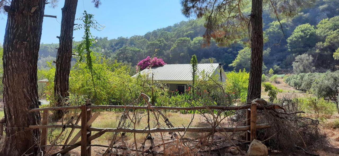 Gelidonia Fenerium Holiday Home Antalia Esterno foto