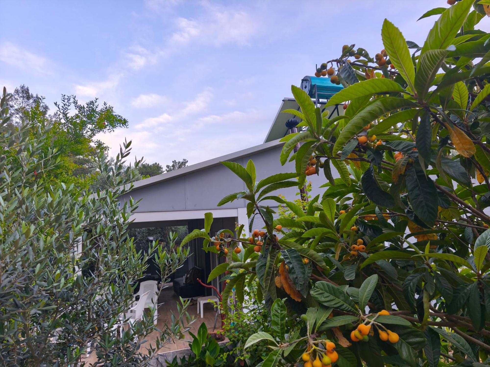 Gelidonia Fenerium Holiday Home Antalia Esterno foto